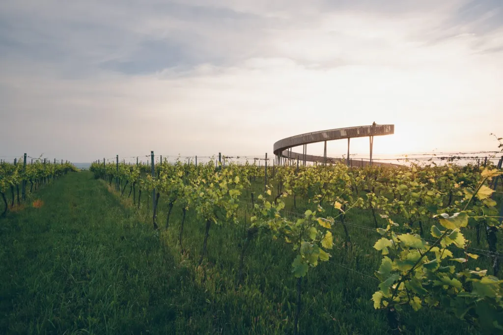 Stezka nad Vinohrady, Kobylí (KEEO4DESIGN)