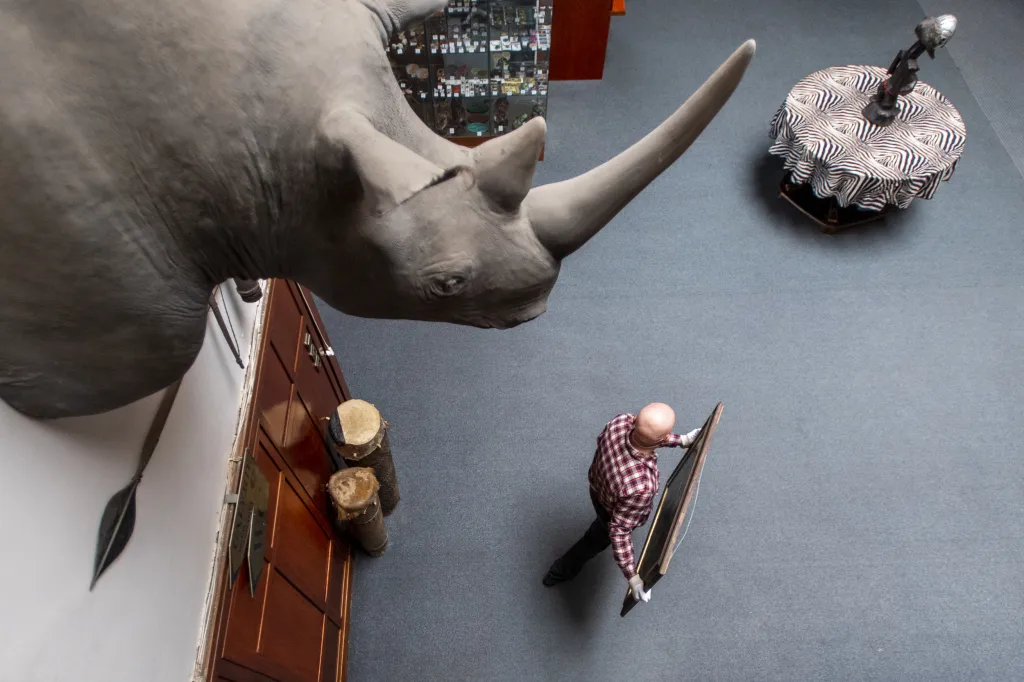 Safari park ve Dvoře Králové stěhoval z Galerie Zdeňka Buriana obrazy na chystanou výstavu do Jihomoravského muzea ve Znojmě