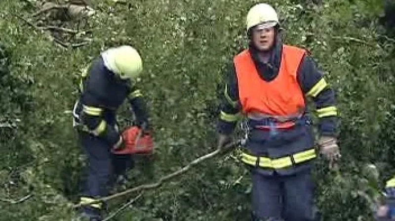 Hasiči odstraňují popadané stromy