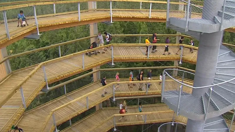 Stezka v korunách stromů na Lipně