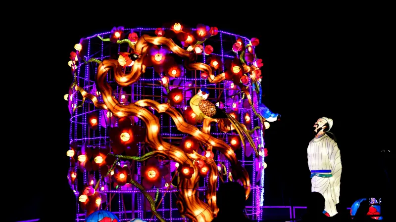 Čína slaví nový rok kohouta