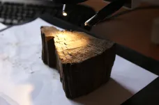 Analýza letokruhů pomáhá archeologům určit stáří dřevěných nálezů