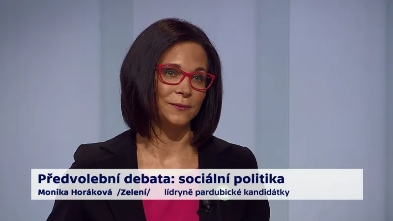 Horáková a Bartošek o pěstounské péči