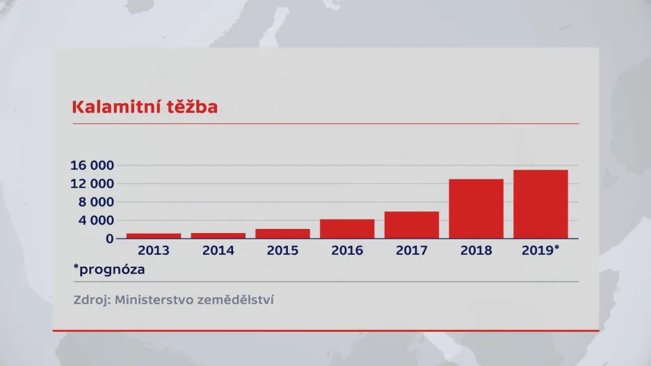 Kalamitní dřevo