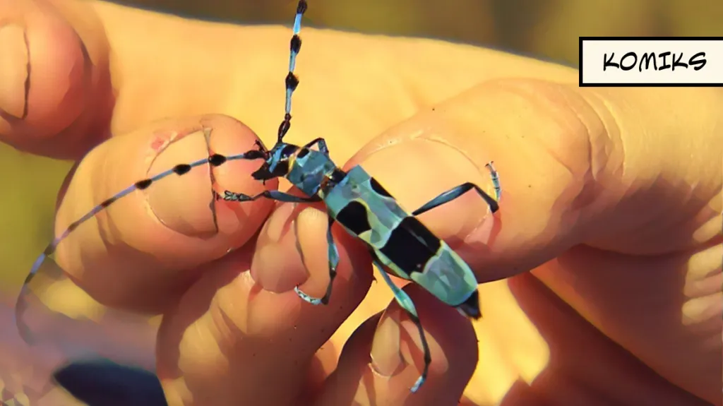Vědci se snaží zachránit tesaříka