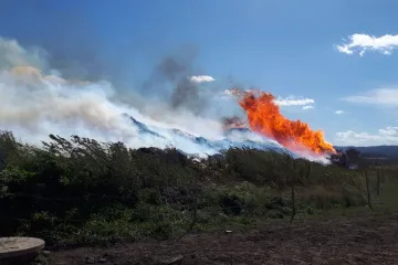 Požár štěpky v Rožmitále způsobilo zřejmě samovznícení, uvedli hasiči