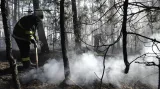 Lesní požár u Bzence na Hodonínsku