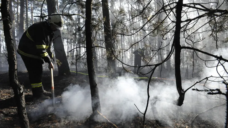 Lesní požár u Bzence na Hodonínsku