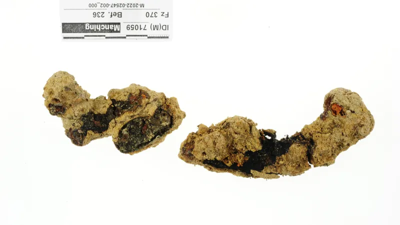 Římské sandály v podobě po nálezu