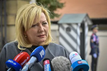 ANO je připravené přehlasovat ČSSD v otázce zvýšení platů ve veřejné sféře, řekla Schillerová