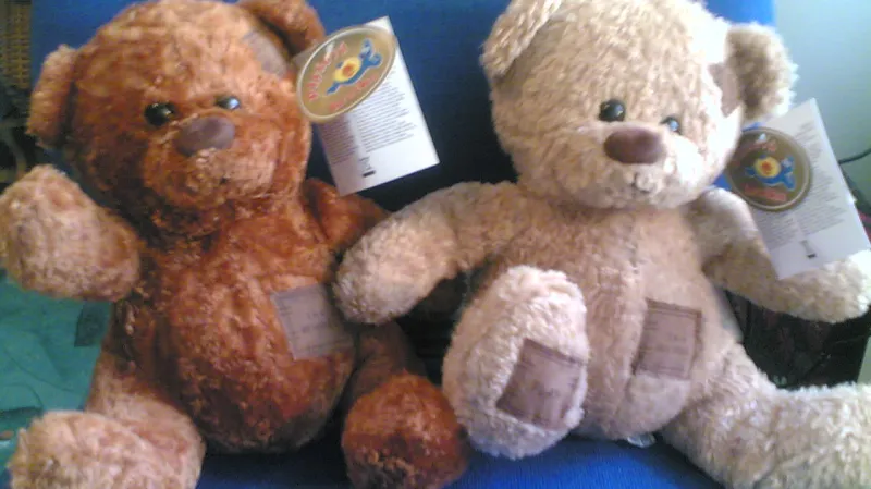 Plyšový medvídek zakázaný ČOI