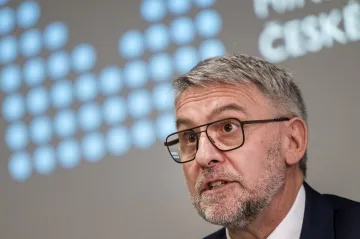 Metnar chce snížit věkovou hranici trestní odpovědnosti