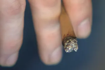 Čistší marihuana. Nizozemsko experimentuje s regulací jejího prodeje