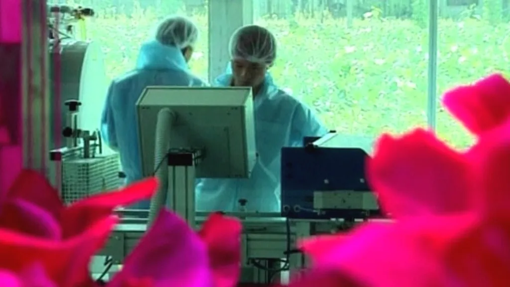 Hi-tech pěstování zeleniny