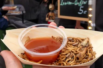 Evropští astronauti by mohli v kosmu jíst hmyz. Startuje nový výzkum