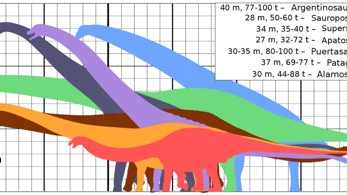 Srovnání velikosti dinosaurů