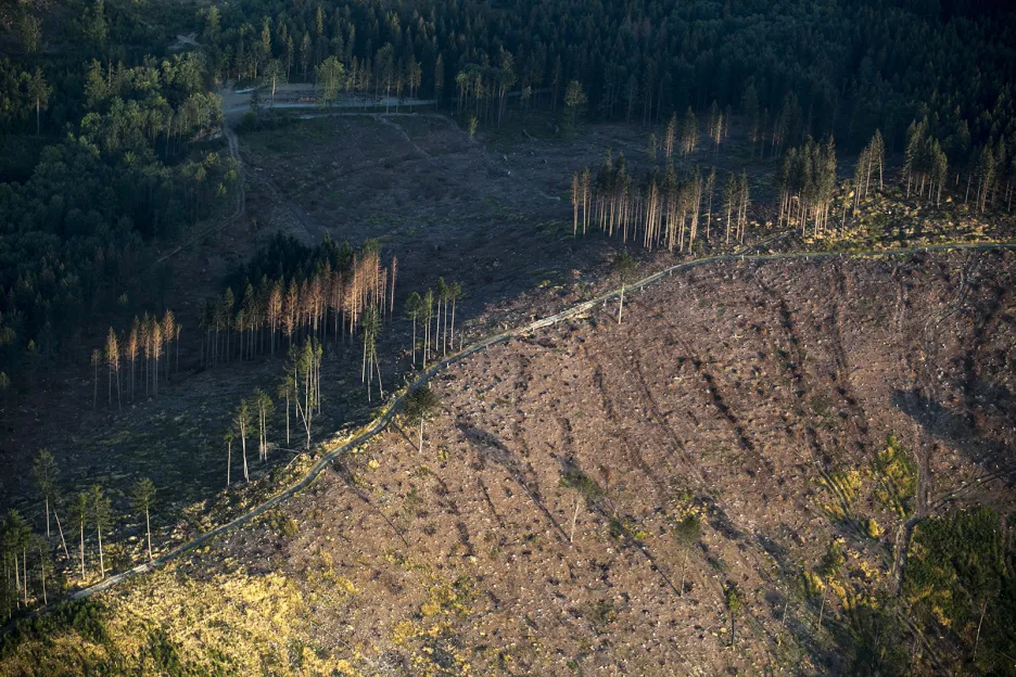 Poškození lesů zasažených kůrovcem v moravských Jeseníkách a na polské straně hranice v oblasti zvané Schronisko