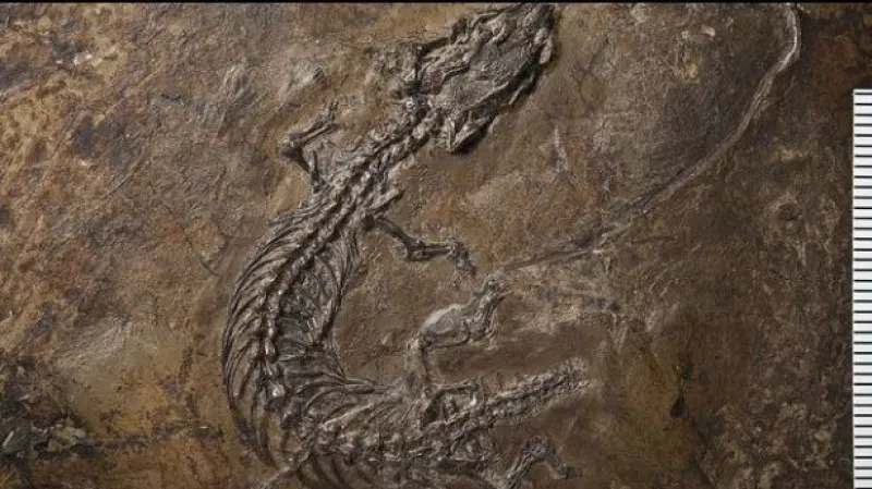 Rozhovor s R. Gregorovou a M. Reissnerem