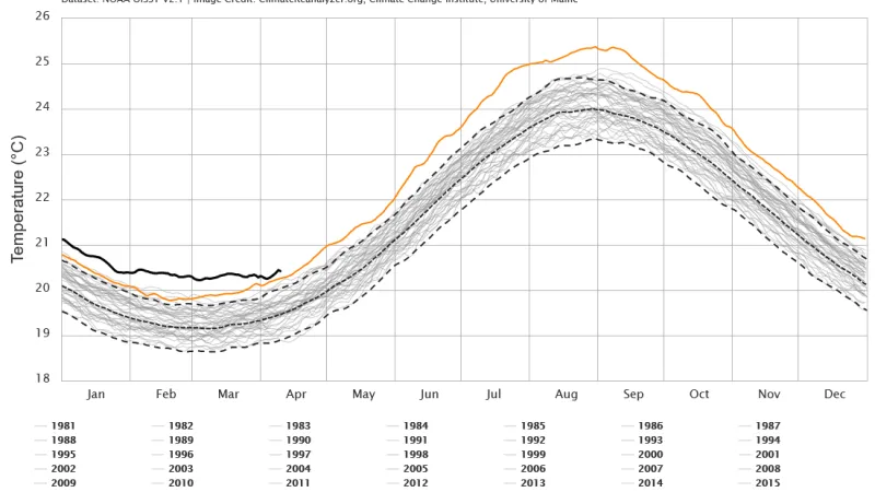 Od loňského března je povrchová teplota mořské vody v severním Atlantiku rekordně vysoká