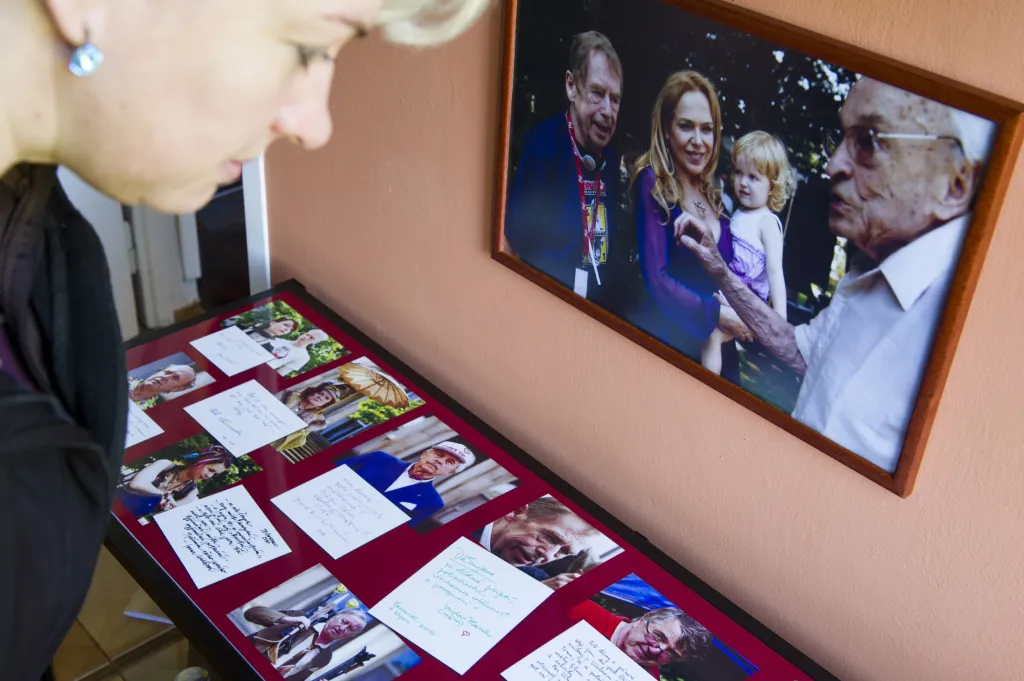 Od konce loňského roku realitní kancelář nemovitost nabízela užšímu okruhu zájemců z řad neziskových organizací, veřejných institucí, filantropů či mecenášů, od dubna je vila v oficiální nabídce. „Až poté, co se vyčerpaly všechny možnost užšího okruhu oslovování, tak se přistoupilo ke zveřejnění,“ uvedla dále Plecháčková