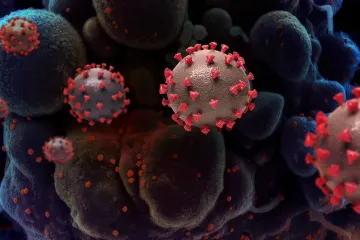 Hnědí trpaslíci, psychometrie i výzkum covidu. Mladí čeští vědci dostali Prémii Otto Wichterleho
