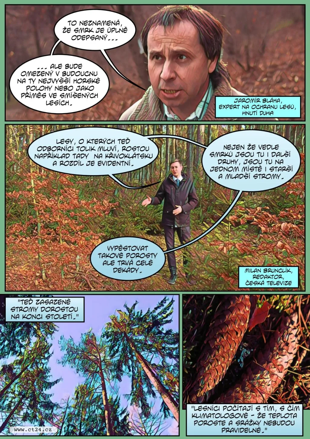 Kůrovcová kalamita postupuje lesy napříč republikou