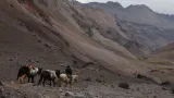 Šedesátiletý mulař Francisco Gallardo jede na koni údolím v horské oblasti El Plomo. „Každý rok se věci mění víc a víc. Každým rokem je tu více smutku,“ řekl agentuře Reuters