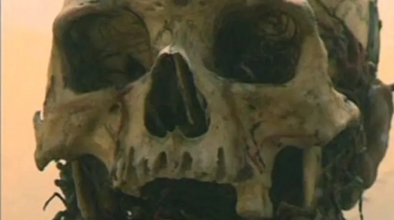 Reportáž Lucie Horáčkové