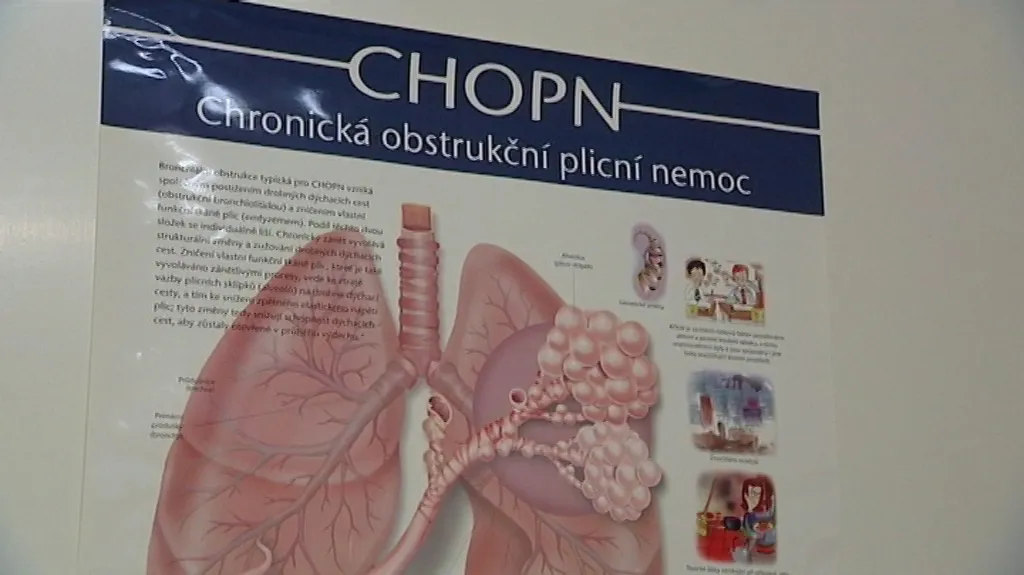 Chronická obstrukční plicní nemoc
