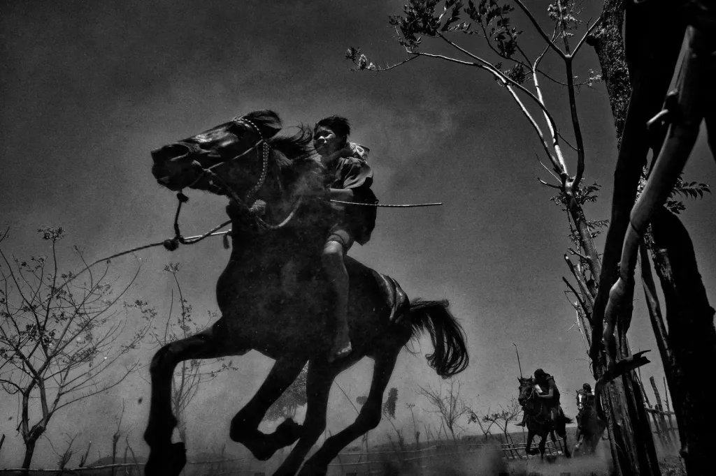 První cena v kategorii Sport (série). Dětští žokejové. Dětští žokejové na ostrově Sumbawa v Indonésii závodí na koních často nazí a bosí, bez helmy a s minimem chráničů. Dostih Maen Jaran je tradice předávána z generace na generaci. Kdysi se jednalo o dožínkovou slavnost, dnes jde spíš o divácký sport k zábavě úředníků. Chlapci ve věku 5-10 let dosahují na koních rychlosti až 80 km/h. Vítězové získávají peněžní hotovost.