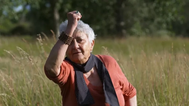 Neviditelné lásky / Les Invisibles (dokument) - režie
Sébastien Lifshitz / France / 2012 / 110 min.