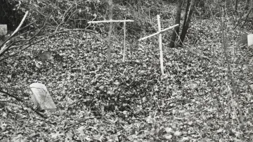 Ďáblický hřbitov