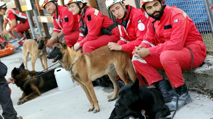 Psi záchranáři pomáhají s prohledáváním trosek po zemětřesení v Itálii