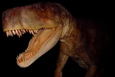 Drak z Krakova drtil kosti už před 200 miliony lety. Vypadal jako tyranosaurus, šlo ale o jedinečného tvora