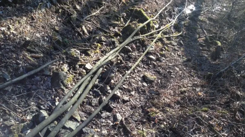 Hadicovodem proudí životodárná voda