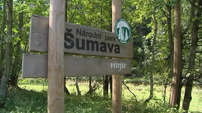Národní park Šumava