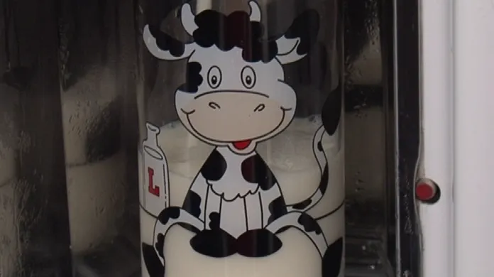 Mléko od krávy je čerstvé, ale nepasterované