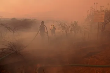 Hrozba požárů je v Amazonii až sedmdesátkrát vyšší kvůli změně klimatu