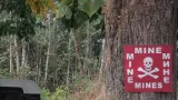 Na nebezpečí upozorňují i cedule na stromech