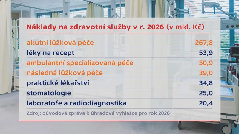 Náklady na zdravotní služby v roce 2026 (v mld. Kč)