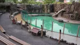 Důsledky povodní v pražské zoo