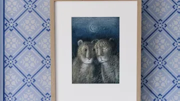 Palác ilustrace