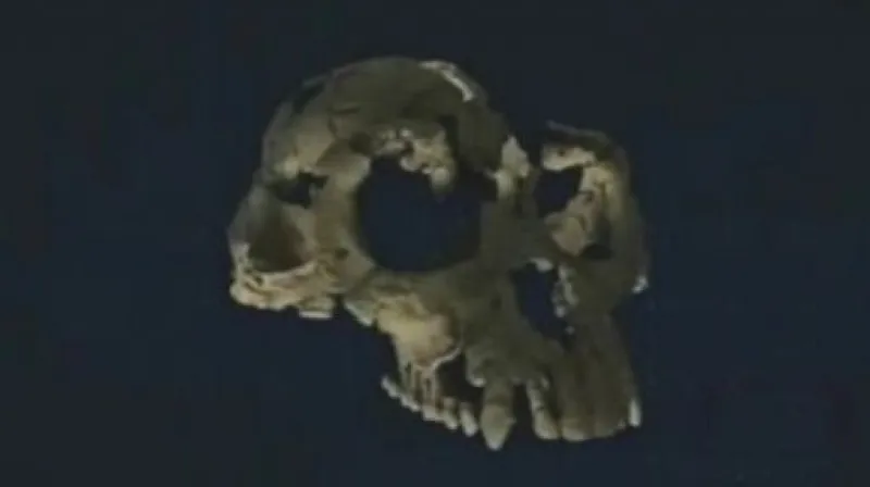 Fosílie nejstatršího předchůdce člověka