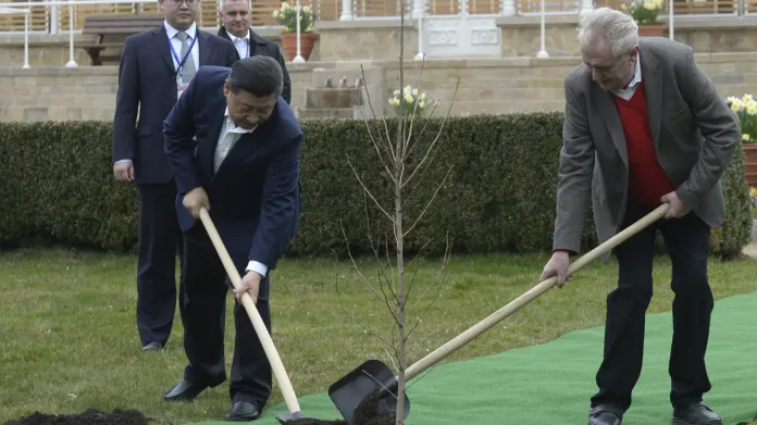 Čínský a český prezident v Lánech společně zasadili pamětní strom