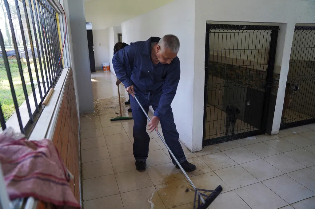 V psí vojenské základně v příměstské oblasti Zumpango de Ocampo, kousek od hlavního města Mexico city, se vojáci starají o pouliční „voříšky“. Nabízí jim ošetření, jídlo, ubytování a základní socializační výcvik