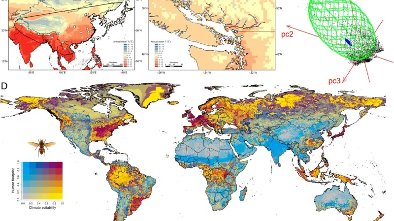 Potenciál šíření sršně mandarínské po světě