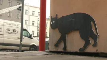 Černé kočky v ulicích Olomouce