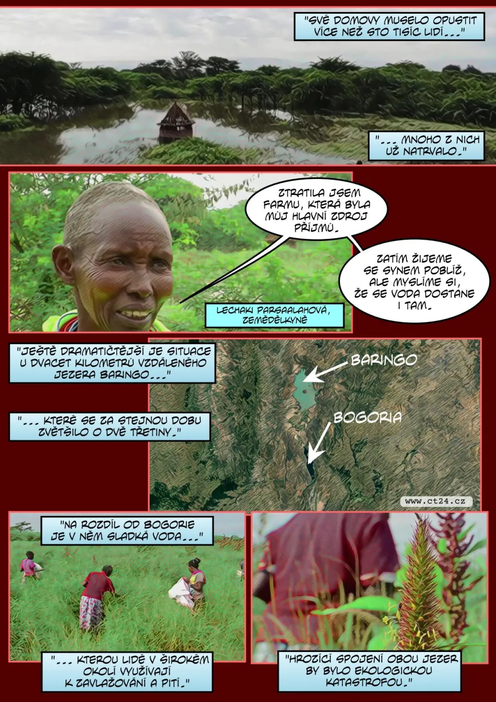 Nové nebezpečí pro plameňáky