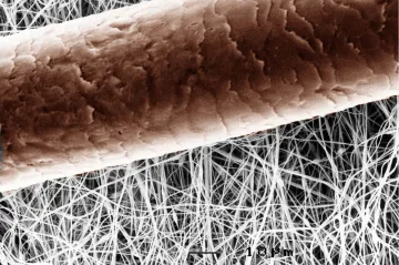 Nanotechnologie se ženou plnou parou vpřed