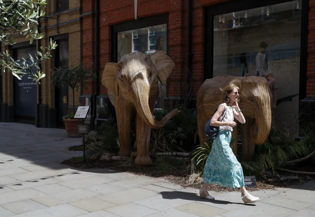 Charitativní organizace Elephant Family vystavila v Londýně sto dřevěných soch slonů v životní velikosti